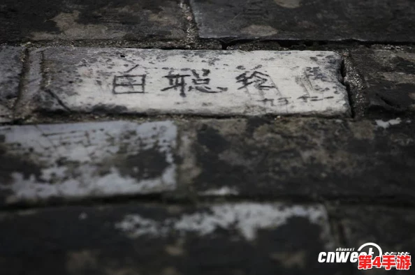 白荆回廊：探索残照烙痕的独特效果与深层影响解析