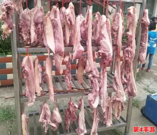 人猪又细又长像钻头一样图片轻松获取与安装方式