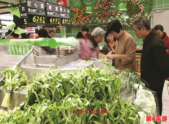 心动小镇雨日浪漫指南：必体验活动清单，让每滴雨水都充满诗意与温馨瞬间