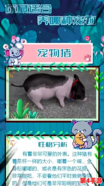 人or猪or狗？快来测测你是哪种动物的灵魂伴侣！趣味性格大揭秘