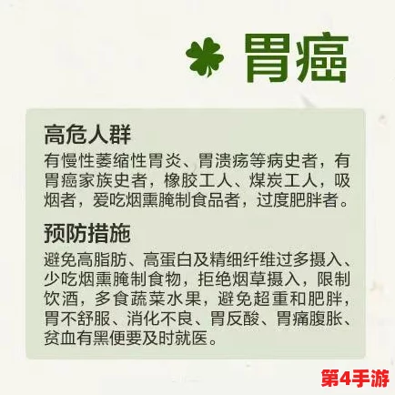 缅北前四后八是什么？深入理解这一术语的含义与背景知识