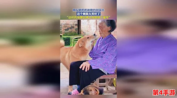 老太奶性战HD:用户评价称其剧情引人入胜,画面精美,带来全新游戏体验! 老太奶性战HD:用户评价称其剧情引人入胜,画面精美,带来全新游戏体验!