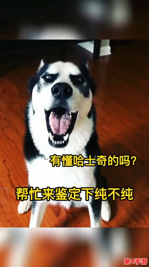 错一题下面查一支笔啊哈，用户评价：这款笔书写流畅，颜色鲜艳，非常满意！