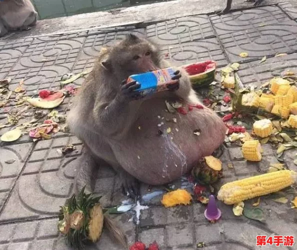 二人生猴子全程不盖被子视频大全集：展现了两人之间的亲密互动与幽默感，令人捧腹大笑的精彩瞬间合集