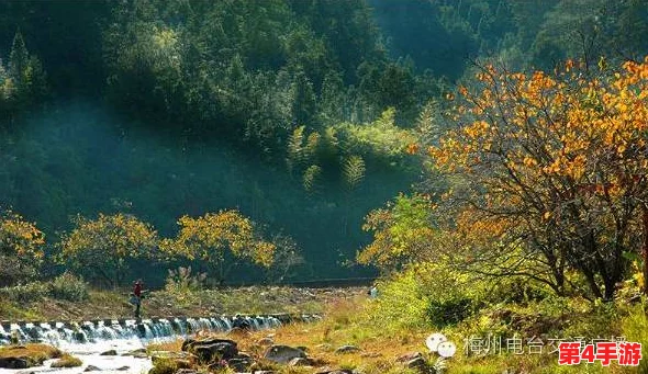 东南亚仙林棕林之美：奇幻自然的绝佳旅行体验与迷人风光