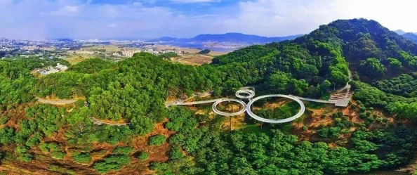 按尺寸坐公交车小镇20路:如何在城市交通中找到最适合自己的出行方式与体验 按尺寸坐公交车小镇20路:如何在城市交通中找到最适合自己的出行方式与体验