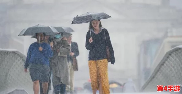 部长外勤中突然下大雨，日本城市的美丽瞬间与气候变化的挑战结合，引发深思与讨论
