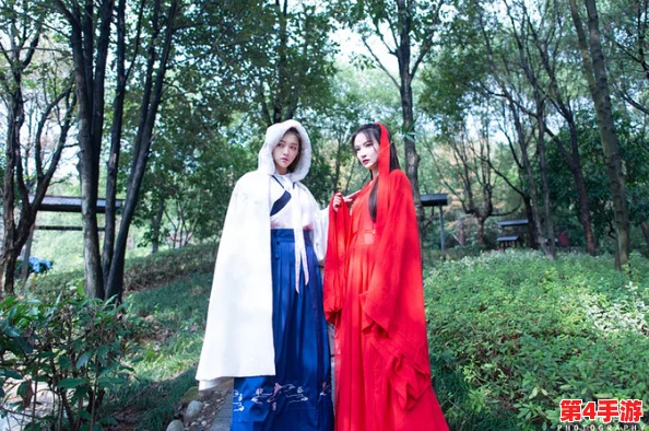 海角披风大神，风华绝代才子佳人共舞天涯