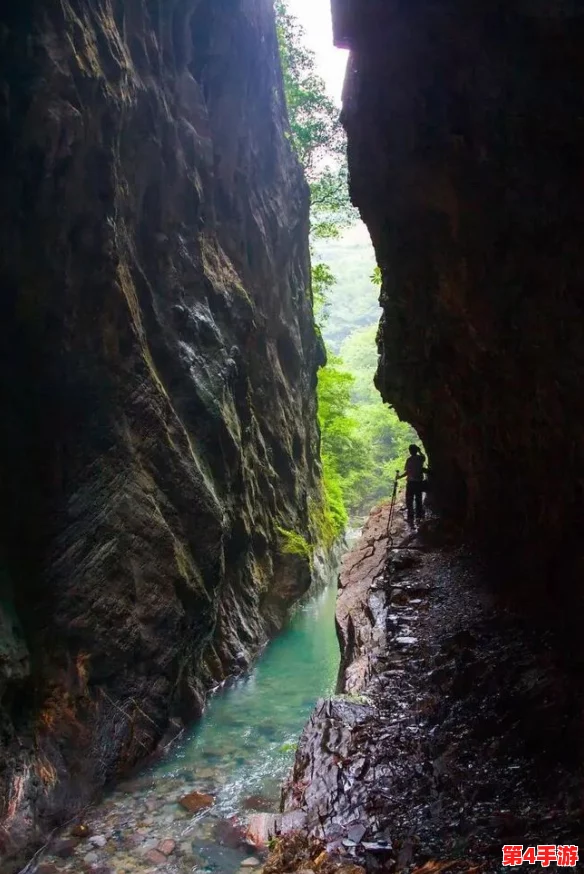虎白女粉一线天白馒头的奇妙世界与背后故事探索 虎白女粉一线天白馒头的奇妙世界与背后故事探索