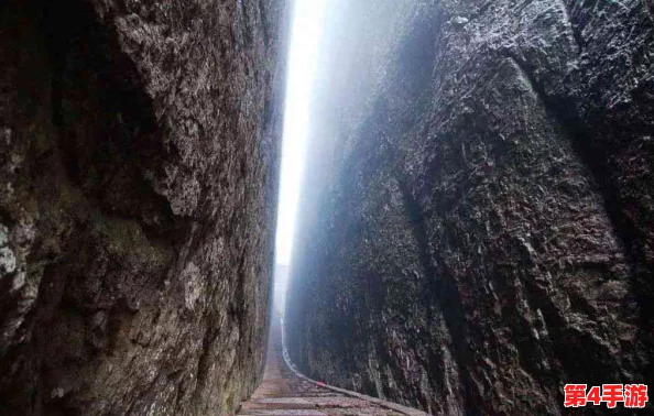 虎白女粉一线天白馒头的奇妙世界与背后故事探索 虎白女粉一线天白馒头的奇妙世界与背后故事探索