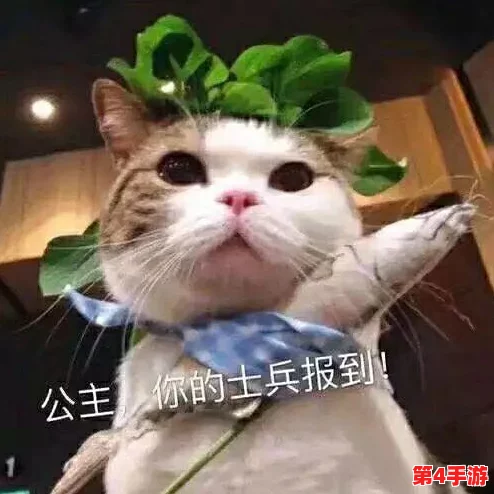 柚子猫yuzukitty的情人节礼物onlyfans：甜蜜独特的惊喜，给爱增添无限温暖与浪漫