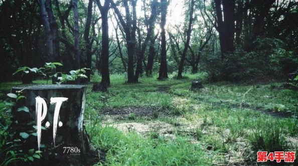 《寂静岭2重制版》深度探索与战斗策略：掌握关键技巧，解锁恐怖之旅新体验