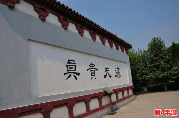 逍遥吟：顶尖伙伴战力排行大揭秘，解锁最强阵容中的核心角色风采！