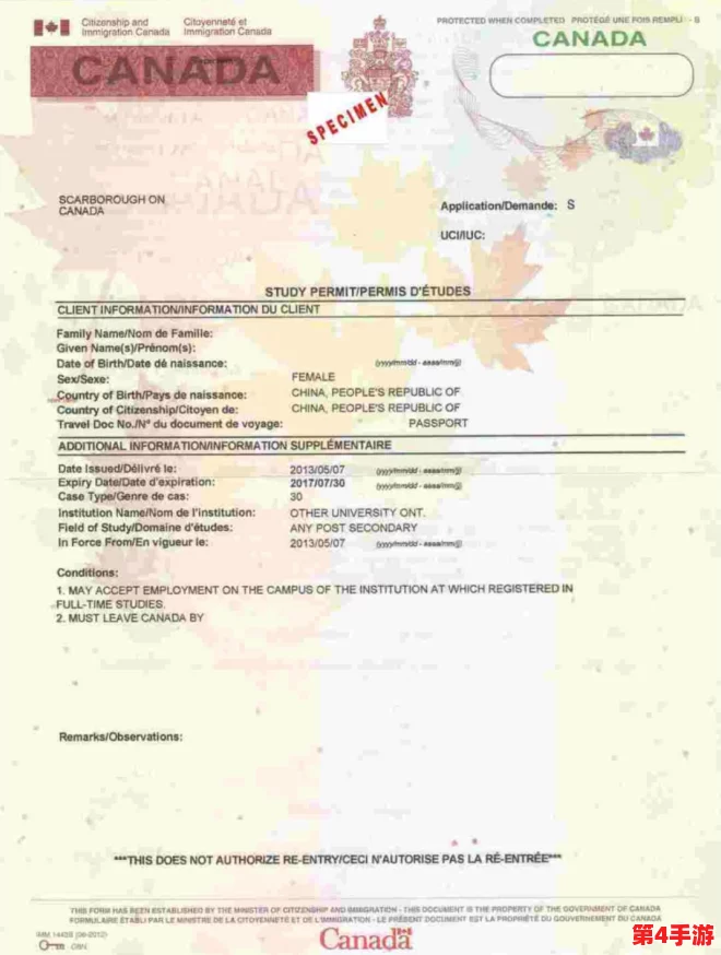 理解janpense visa Mif的申请流程与注意事项，助你顺利获得签证