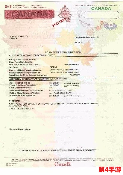 理解janpense visa Mif的申请流程与注意事项，助你顺利获得签证