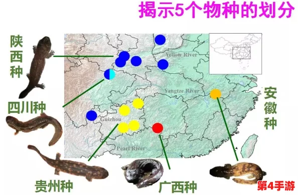 黑花打开生腔，科学家发现新物种揭示生态系统的复杂性与脆弱性，引发广泛关注与讨论