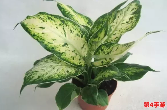 丰满多毛多水BBBBB：新研究显示，丰富的水分和营养对植物生长至关重要，助力生态平衡