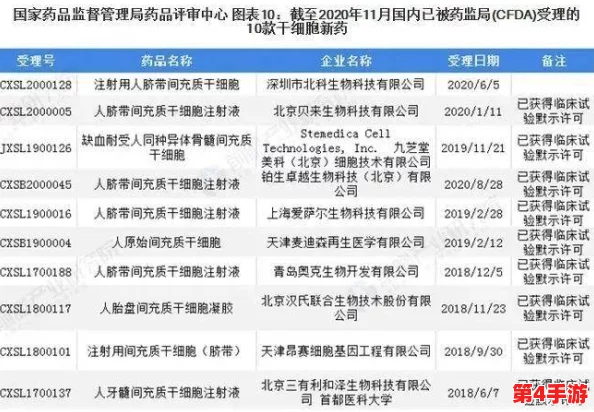 神木丽stats—804最新消息：全面解析与深度解读，带你了解最新动态