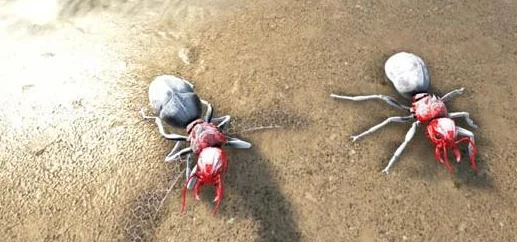 方舟生存进化手游生物百科全书：探秘史前霸主——剑齿虎的生存智慧与战斗技巧