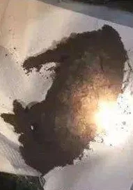 男生女生在一起嗟嗟嗟不盖被子，情侣甜蜜互动让人心动，温暖夜晚中的亲密时刻