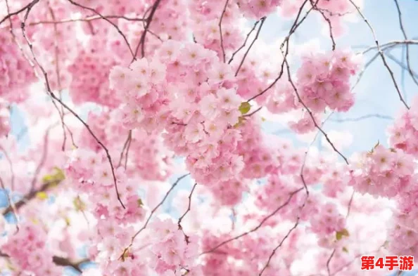 樱花动漫官网看：最新动画《春日恋曲》正式上线，带你领略浪漫青春的故事魅力！
