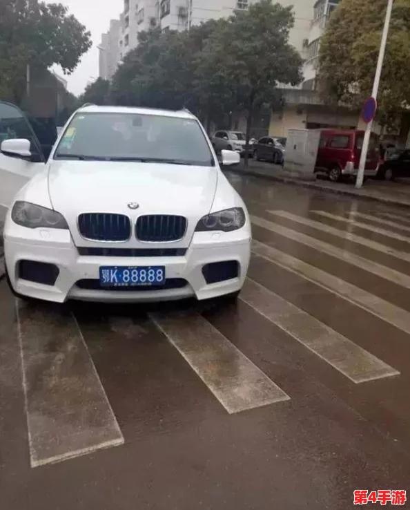 理解www.77777背后的意义与影响，揭示其在网络文化中的独特地位和作用