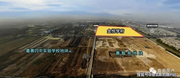 芒果视频污：用户评价揭示使用体验与内容质量的真实反馈，值得一看！