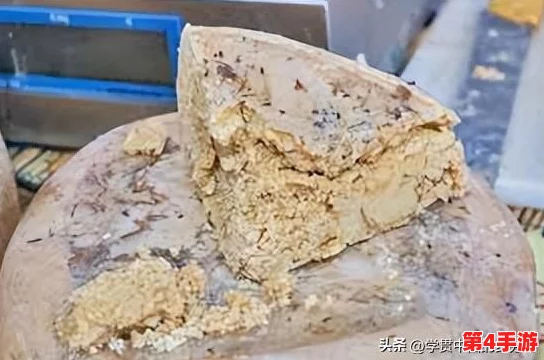 两人 一人吃10分钟：理解饮食习惯对健康的影响与时间管理的重要性