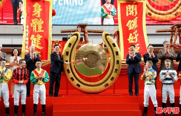 2024版网站免费进入窗口软件深度解析与使用指南