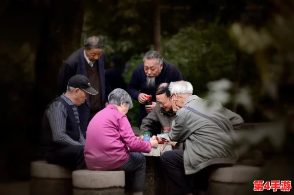 色老太HD老太色HD：揭示老年人群体在数字时代的生活与挑战，关注社会对其需求的重视