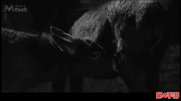 小毛驴影视在线观看，让您享受无限精彩影视，畅看热门影视作品的最佳选择！