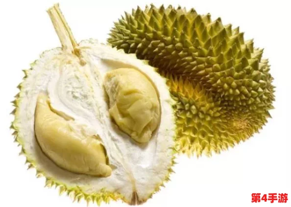 榴莲视频18:新一季上线,带你领略独特的亚洲美食与文化魅力! 榴莲视频18:新一季上线,带你领略独特的亚洲美食与文化魅力!