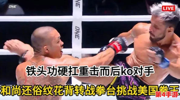 3分19秒砍断手断脚视频播放，深度理解其背后的社会影响与心理反应