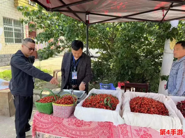 樱桃视频污：用户反馈与平台监管的双重挑战，如何维护网络环境的健康？