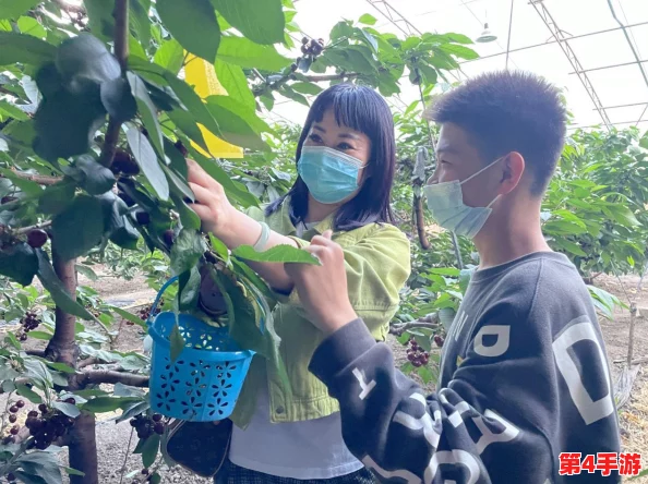 樱桃视频官网正式上线，提供丰富多样的影视资源与用户互动体验