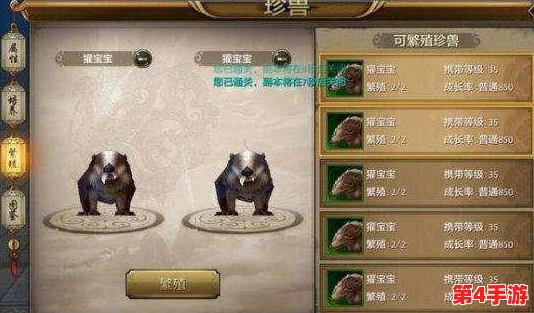 天龙八部手游：精通洗练丹使用策略，全面升级装备属性指南