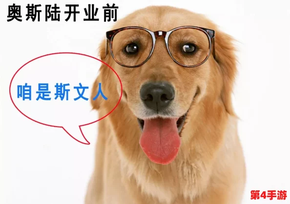 人狗胶配方大全狗狗播放，让宠物更健康快乐！