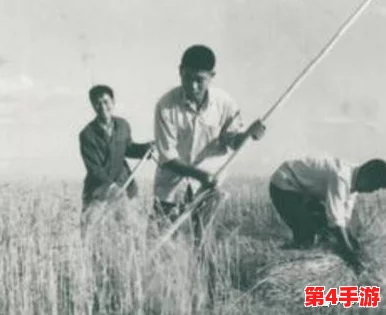 乡村傻子一杆枪闯天下,智勇双全笑傲江湖视频 乡村傻子一杆枪闯天下,智勇双全笑傲江湖视频