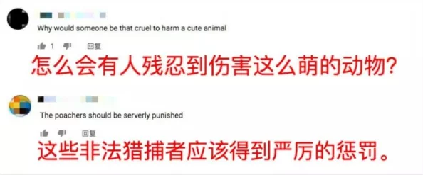 卖婬妓女BBw中国:警方打击非法活动,逮捕多名涉案人员,社会反响强烈,引发公众关注 卖婬妓女BBw中国:警方打击非法活动,逮捕多名涉案人员,社会反响强烈,引发公众关注