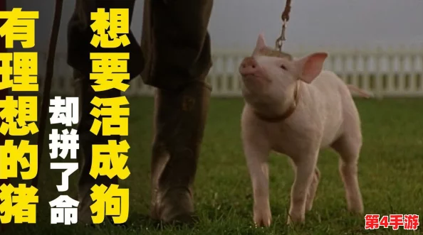 人or猪or狗:探讨不同生命形态的价值与意义,反思我们在社会中的角色与责任 人or猪or狗:探讨不同生命形态的价值与意义,反思我们在社会中的角色与责任