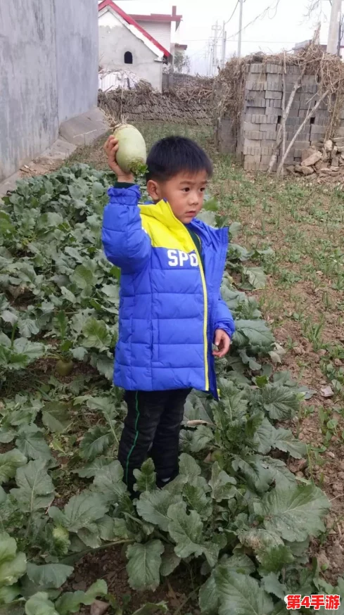 女生迈开腿拔萝卜，展现农村生活乐趣与青春活力，引发网友热议与共鸣