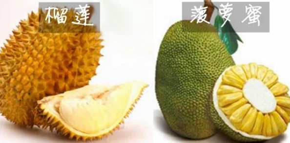 榴莲视频色版:用户评价称其内容丰富,画质清晰,是追剧爱好者的必备选择! 榴莲视频色版:用户评价称其内容丰富,画质清晰,是追剧爱好者的必备选择!