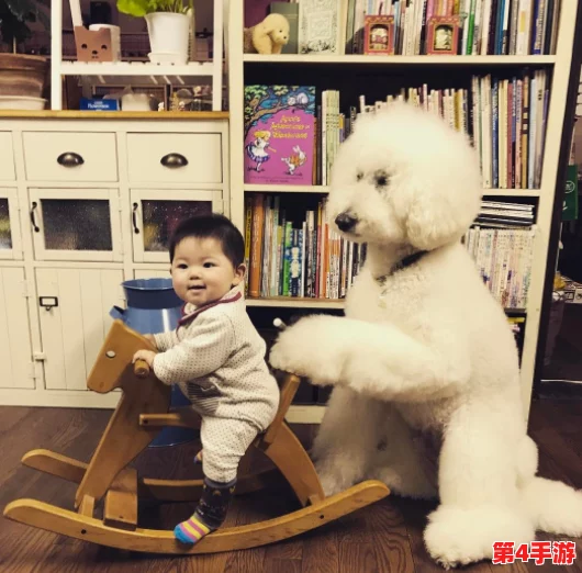 婆婆和我的狗老公怎么相处：爱与理解让家庭更加温暖幸福