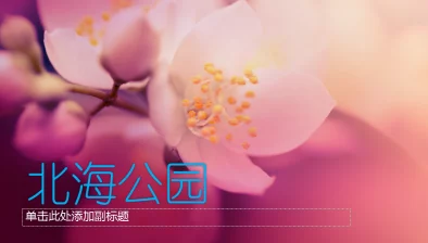 樱花成品ppt的网站免费观看,提供丰富多样的PPT模板和设计资源,让你的演示文稿更加出色! 樱花成品ppt的网站免费观看,提供丰富多样的PPT模板和设计资源,让你的演示文稿更加出色!