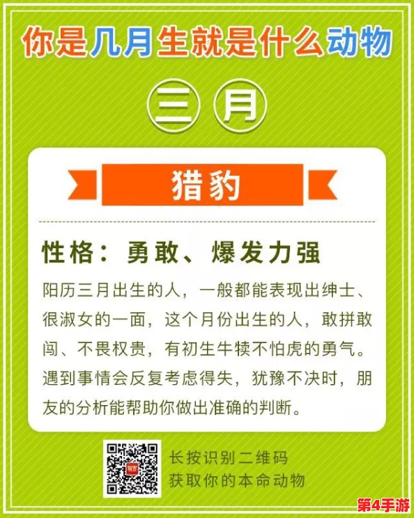 一卡二卡三卡四卡五卡艹：在这个多元化的时代，如何选择适合自己的支付方式成为了人们关注的焦点