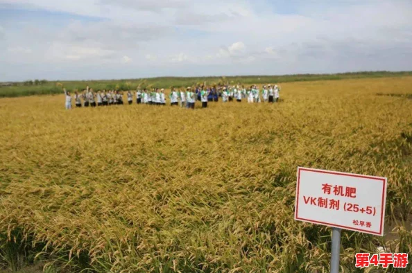 种子齐备五十二难：探讨在农业发展中面临的挑战与解决方案，助力可持续未来的实现