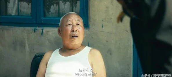 麻花豆精产三产区区别：深入分析各大产区的特点与优势，助您更好地选择优质产品