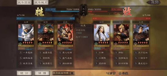 赵云张飞关妹加点，游戏角色培养新策略与技巧分享，让你在战斗中更具优势！