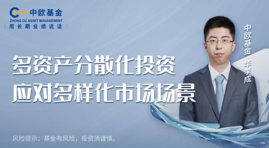 王伦宝：从普通职员到行业领军人物的奋斗历程与成功秘诀分享