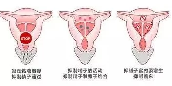 多人灌满精子怀孕高H：探讨现代生育方式与伦理的复杂交织，影响家庭结构与社会观念的深远变化